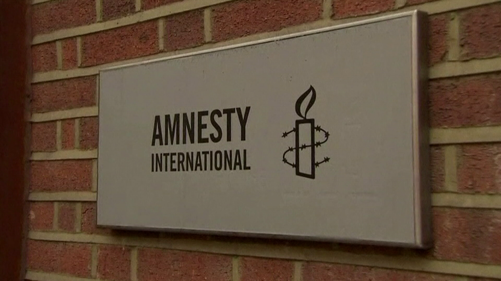 Amnesty volt igazgatója: A jogvédő szervezet az ellenzék részeként viselkedik