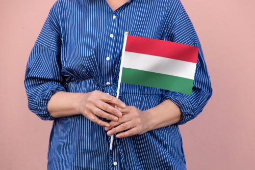 Fidesz: A magyar nők és édesanyák békéjét és biztonságát is veszélyezteti a baloldal  