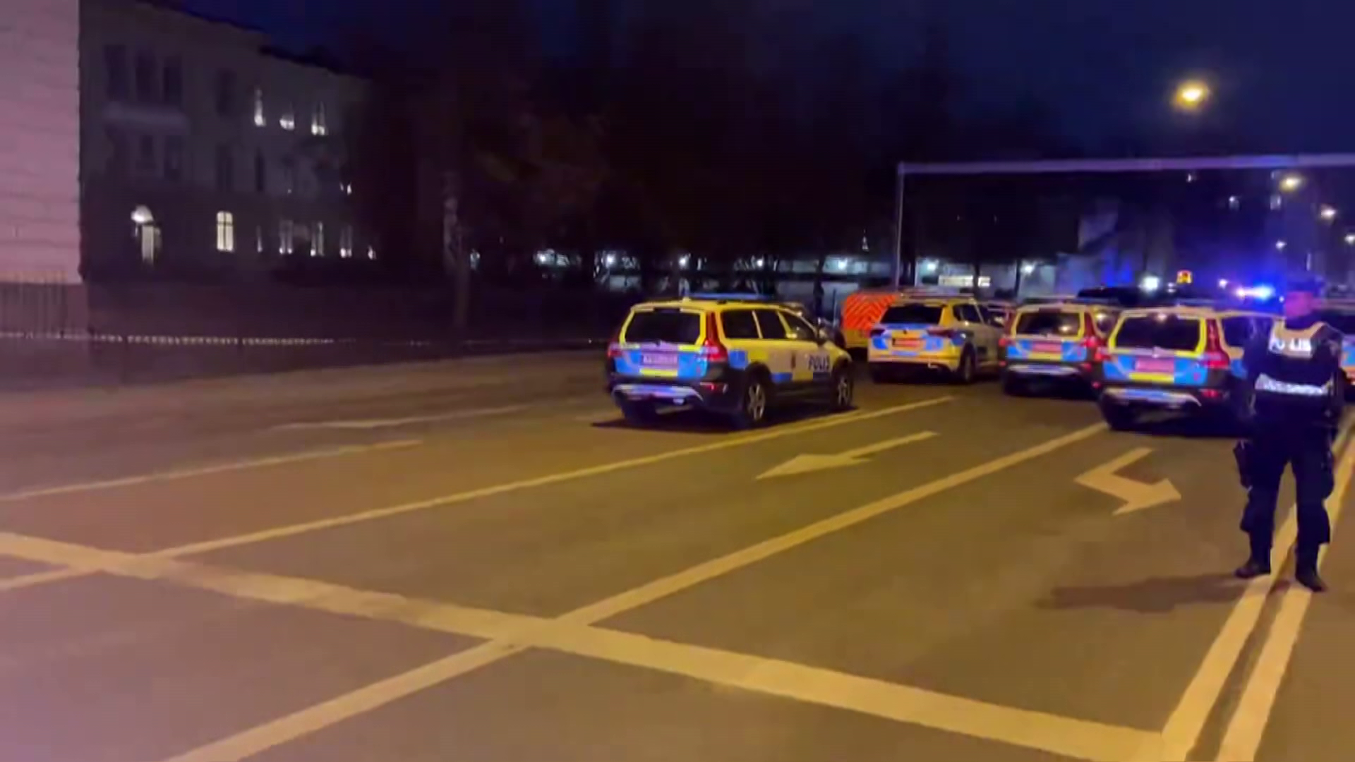 Baltával és késsel gyilkolt a diák Malmöben