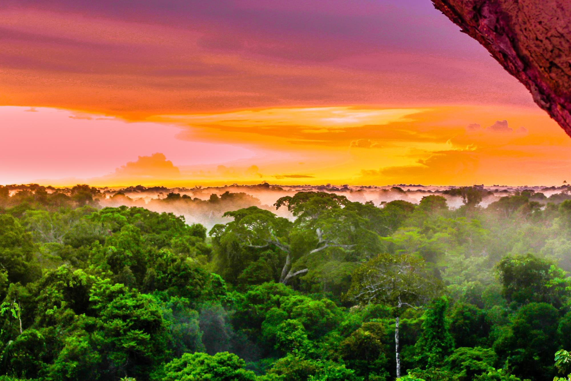 A keresőcsapatok az eltűnt brithez tartozó tárgyakra bukkantak az Amazonasban