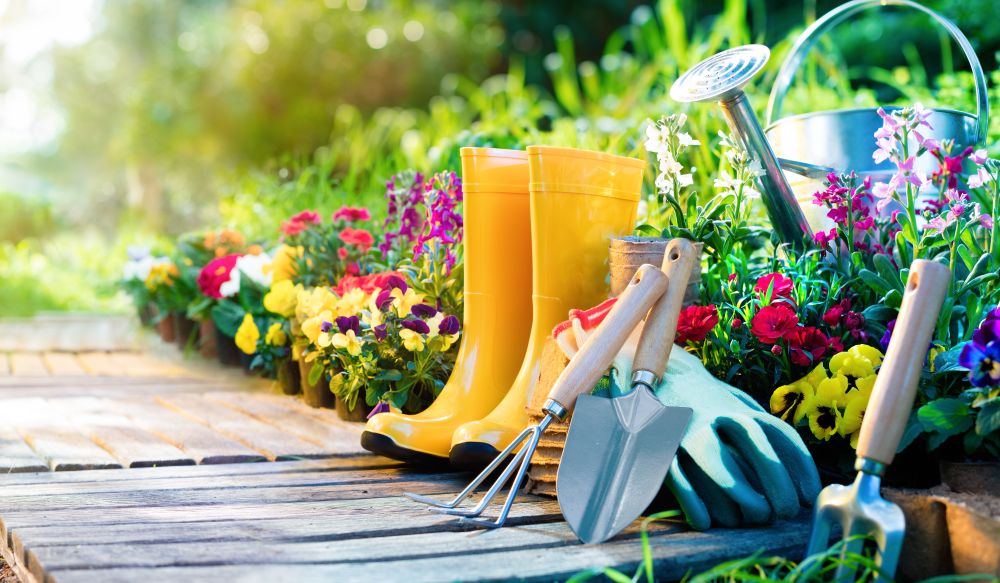 5 tipp könnyen fenntartható kert kialakításához