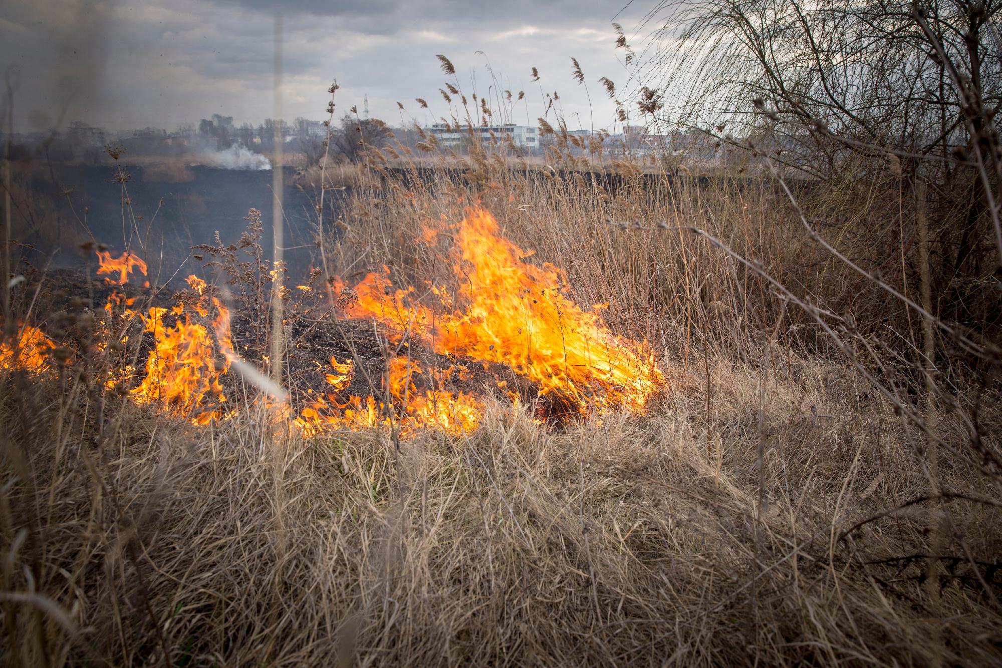 Százhúsz hektáron leégett az aljnövényzet Egyek térségében