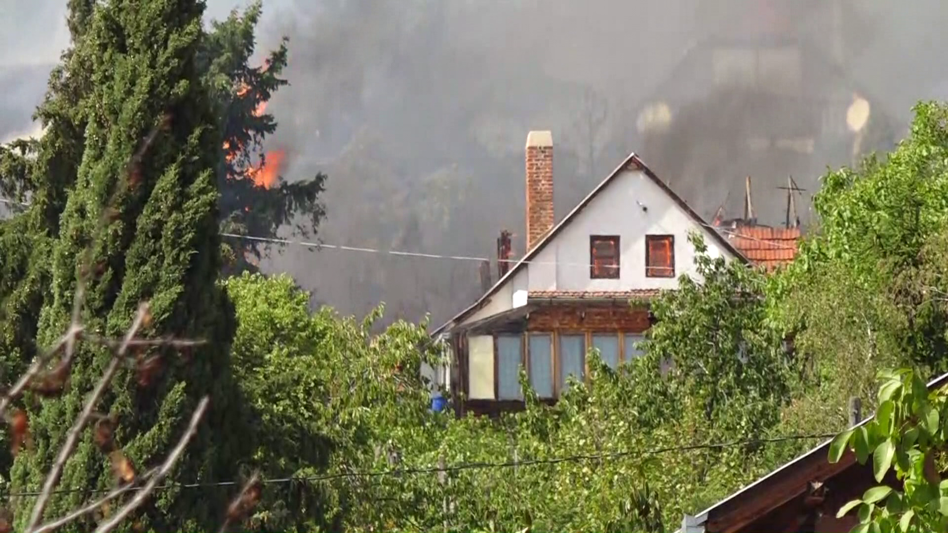 Tűz ütött ki Pécs külterületén, a Mecsek lábánál 