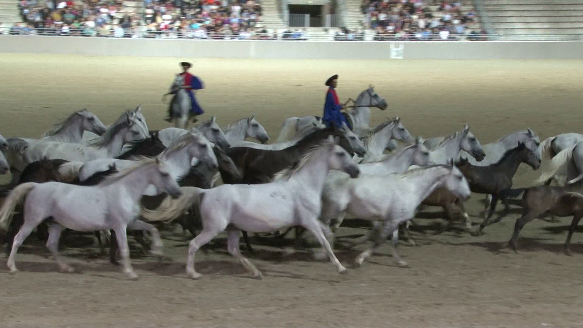 Éjszakai lovas show-val ünnepelték a nemzet születésnapját Szilvásváradon
