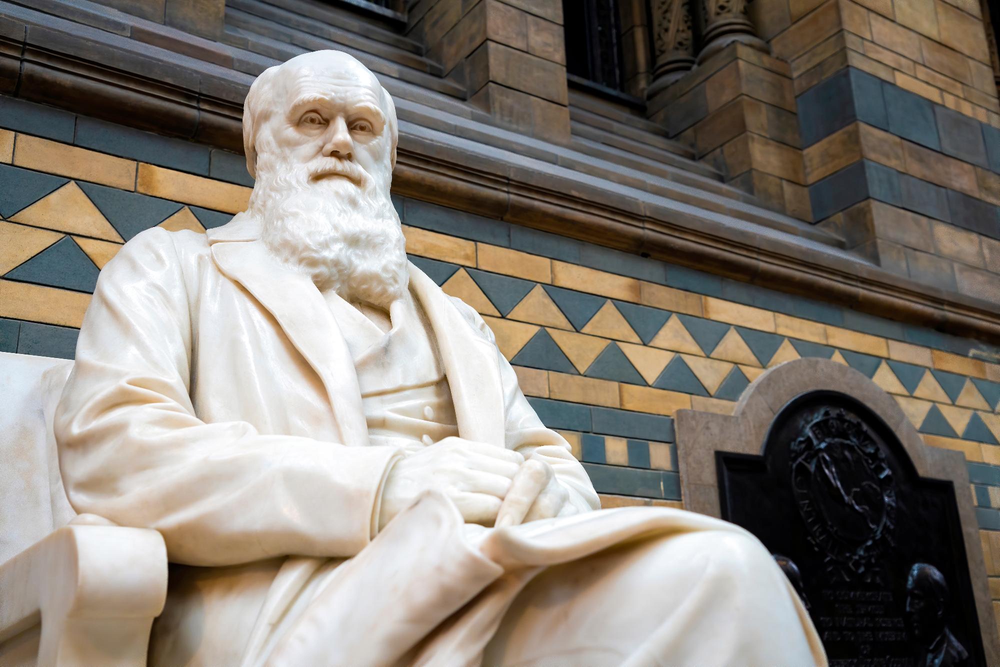 Akár egymillió fontért is elkelhet Darwin egy aláírt kézirata