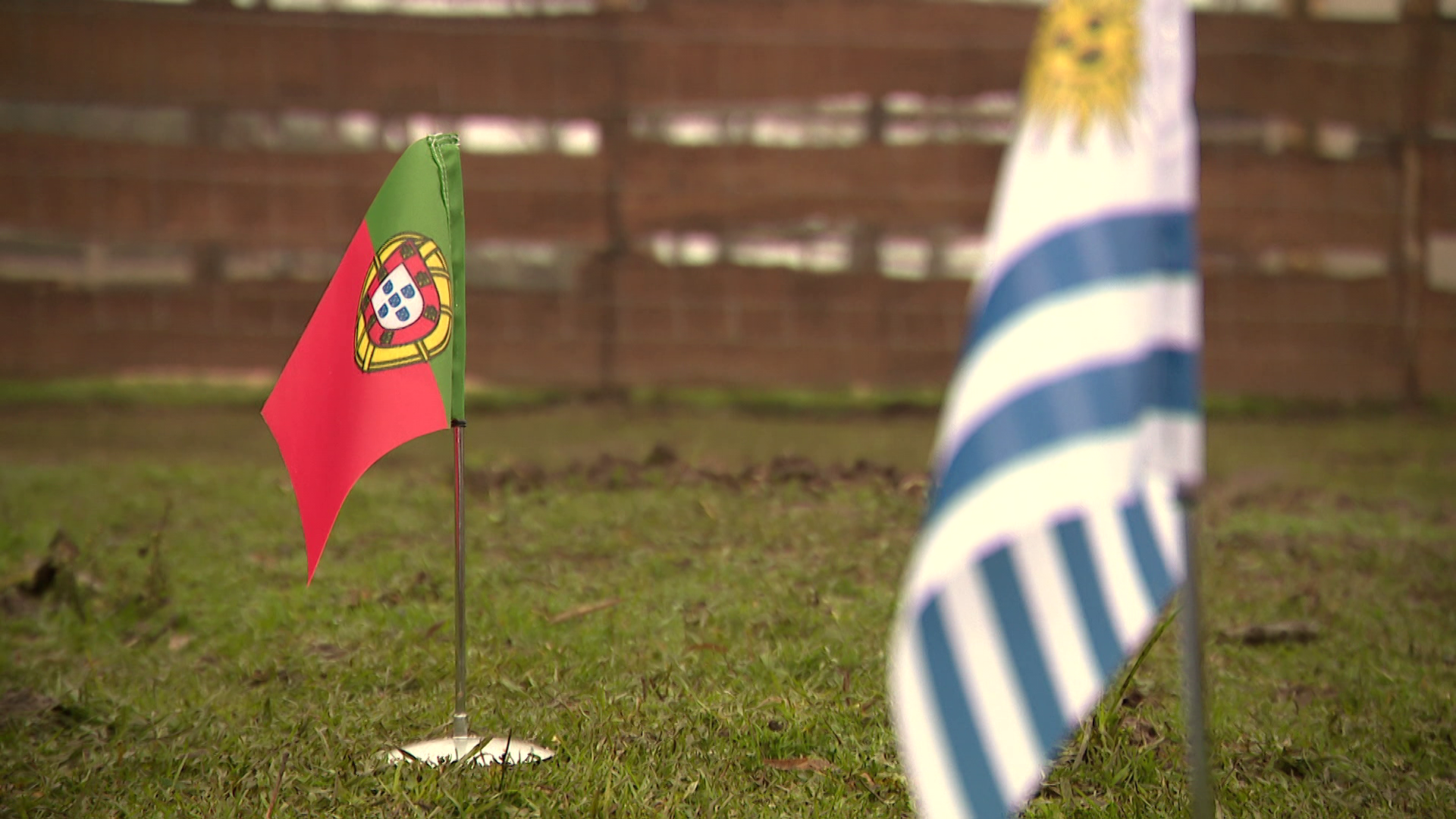 Radar - Timo jóslata a Portugália - Uruguay meccsre 