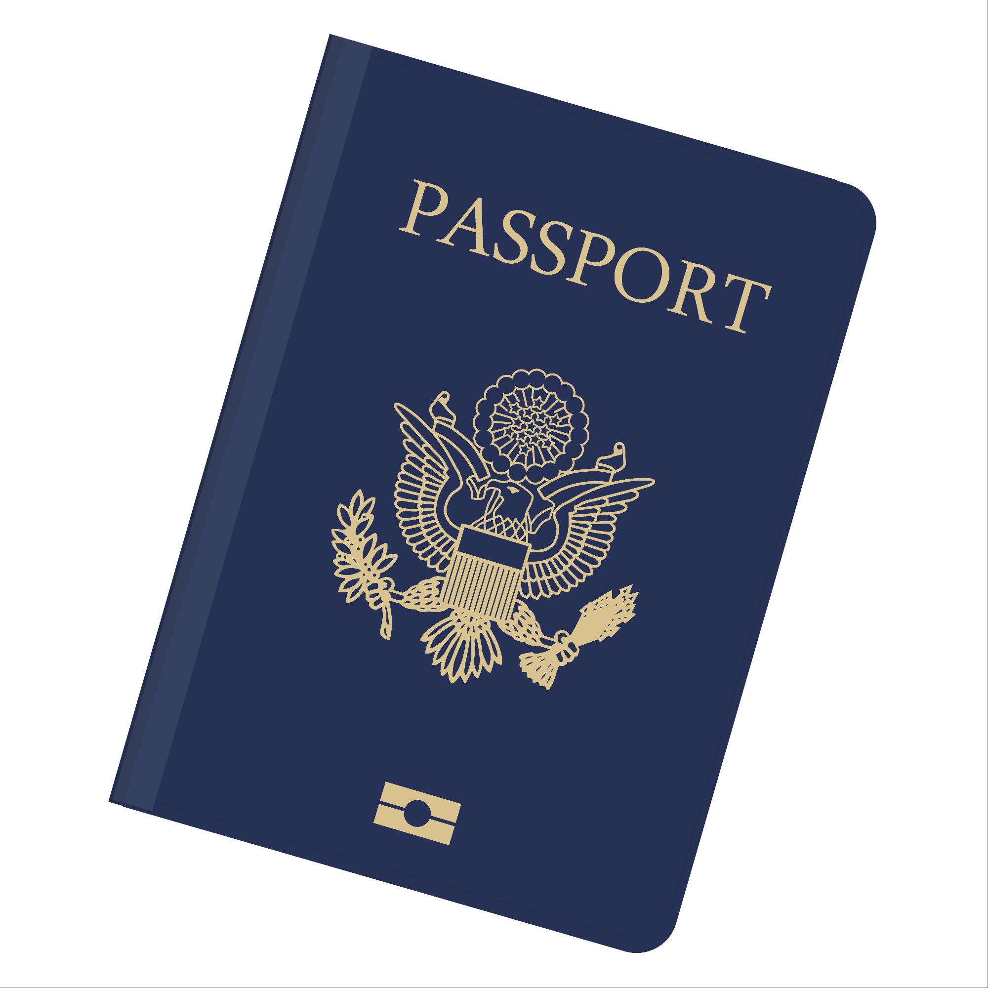 Сувенирный паспорт США