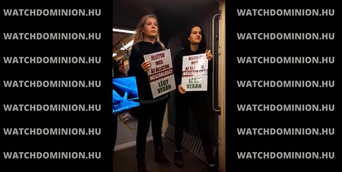 Fradistákba botlottak a vegán aktivisták a metróban