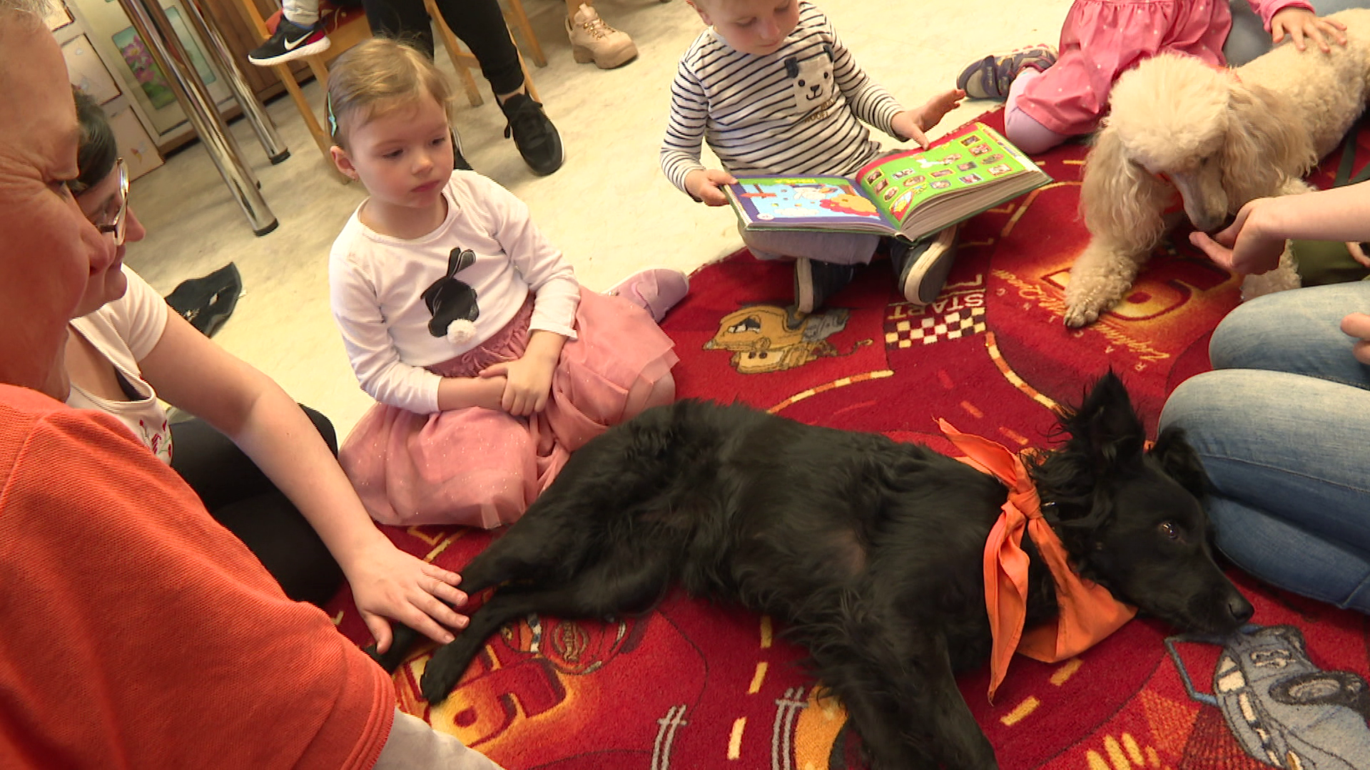 Olvasásra és felelős állattartásra ösztönzik a gyerekeket Zalaegerszegen