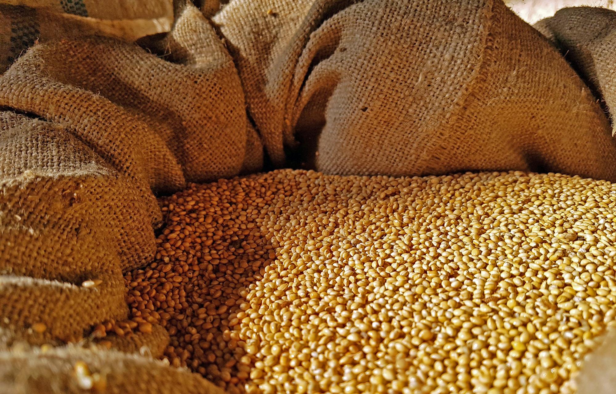 EB: megállapodás jött létre az ukrán gabona behozatalával kapcsolatban