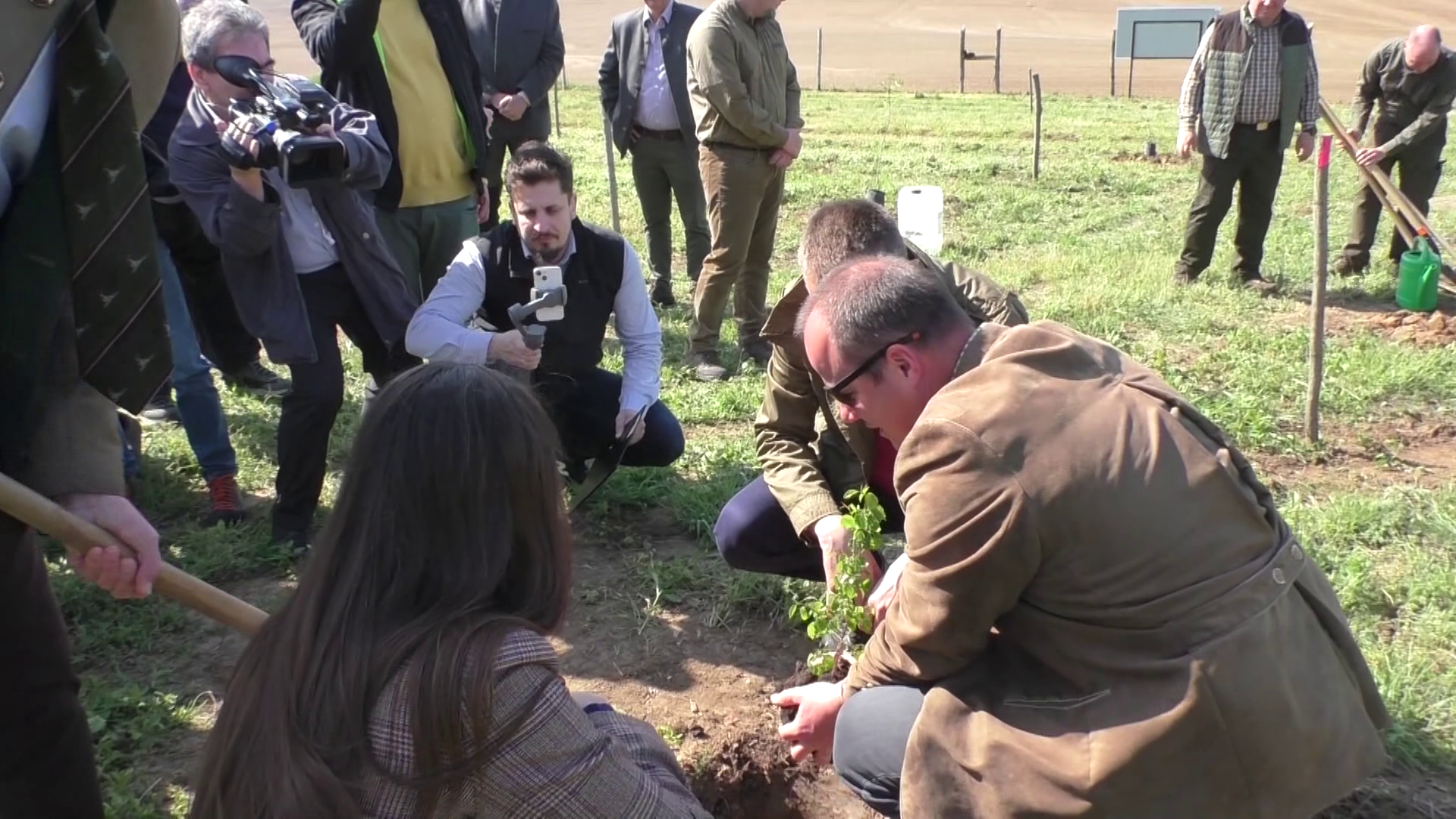 Minden megszületett magyar csecsemő után tíz fát ültetnek el