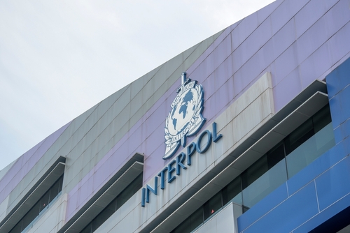  A nyilvánosság segítségét kéri kihűlt esetek megoldásában az Interpol 