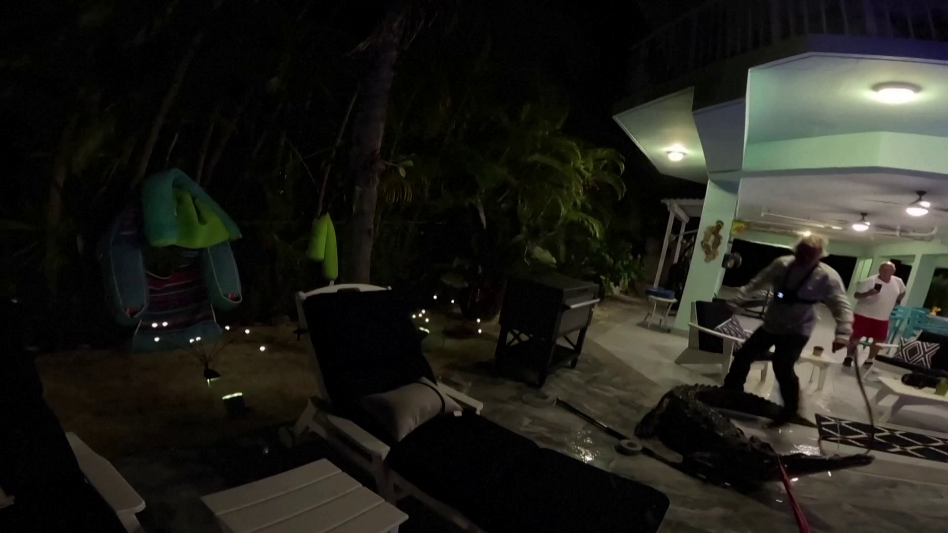 Hatalmas krokodil költözött be egy floridai család medencéjébe + videó 