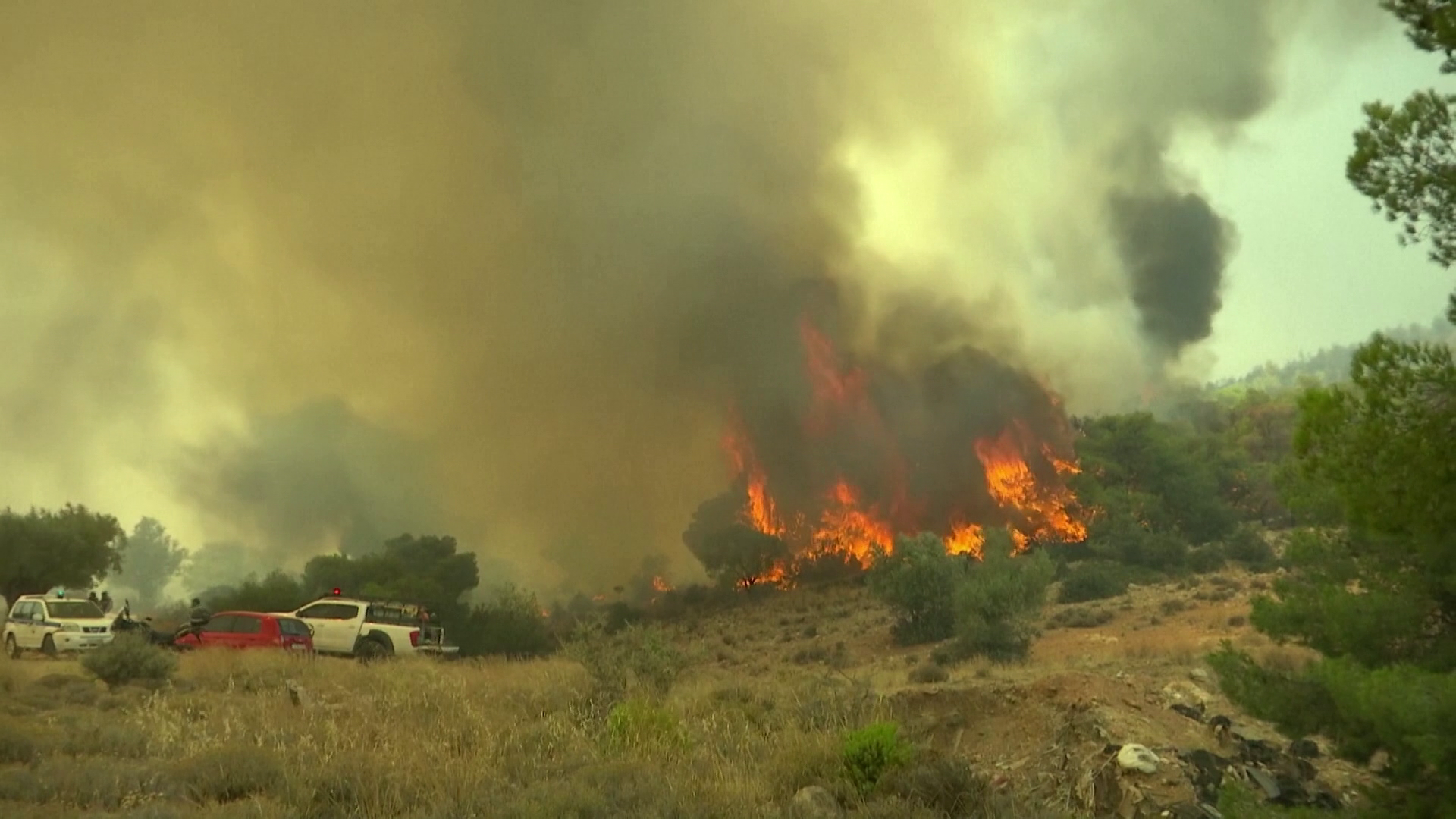 Több száz tűzoltó küzd Görögországban az erdőtüzekkel