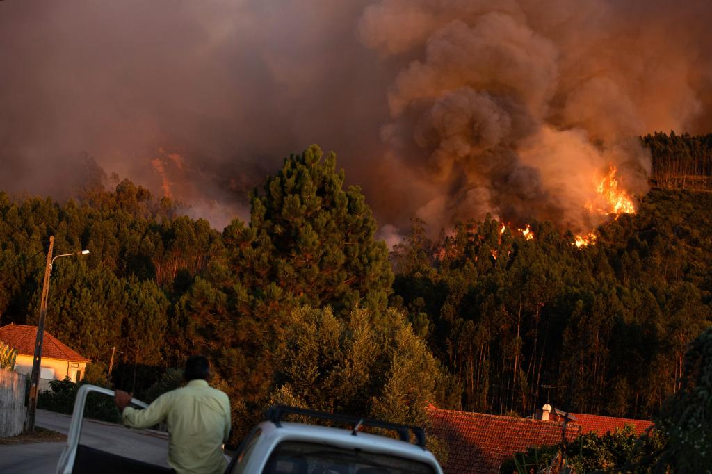 Ezernél is több embert telepítettek ki Portugáliában az erdőtüzek miatt