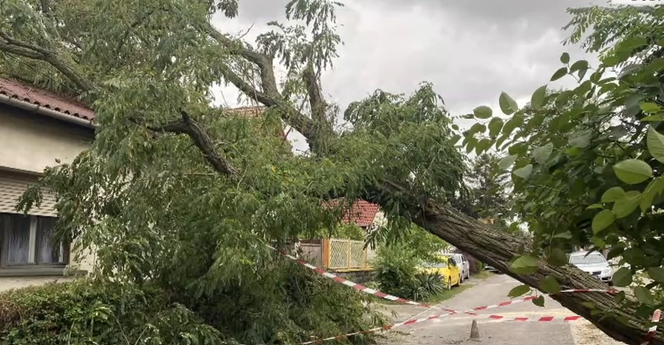 Napindító - A 18. kerületben is pusztított a hétvégi vihar