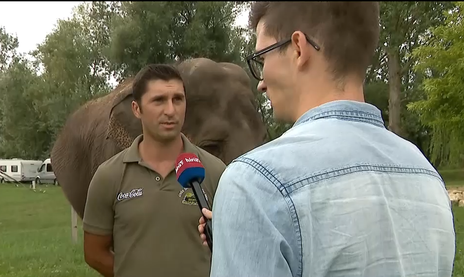 Napindító - Állatkertek Éjszakája a Richter Safari Parkban 