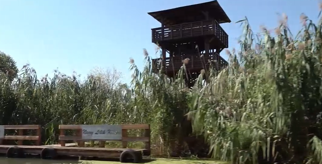 Napindító - Nagy Lilik - mesebeli kilátó a Tisza-tavon