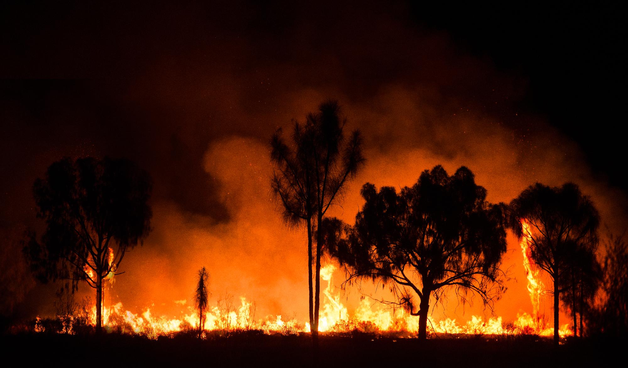 Kétségbeesett küzdelem a lángokkal Ausztráliában