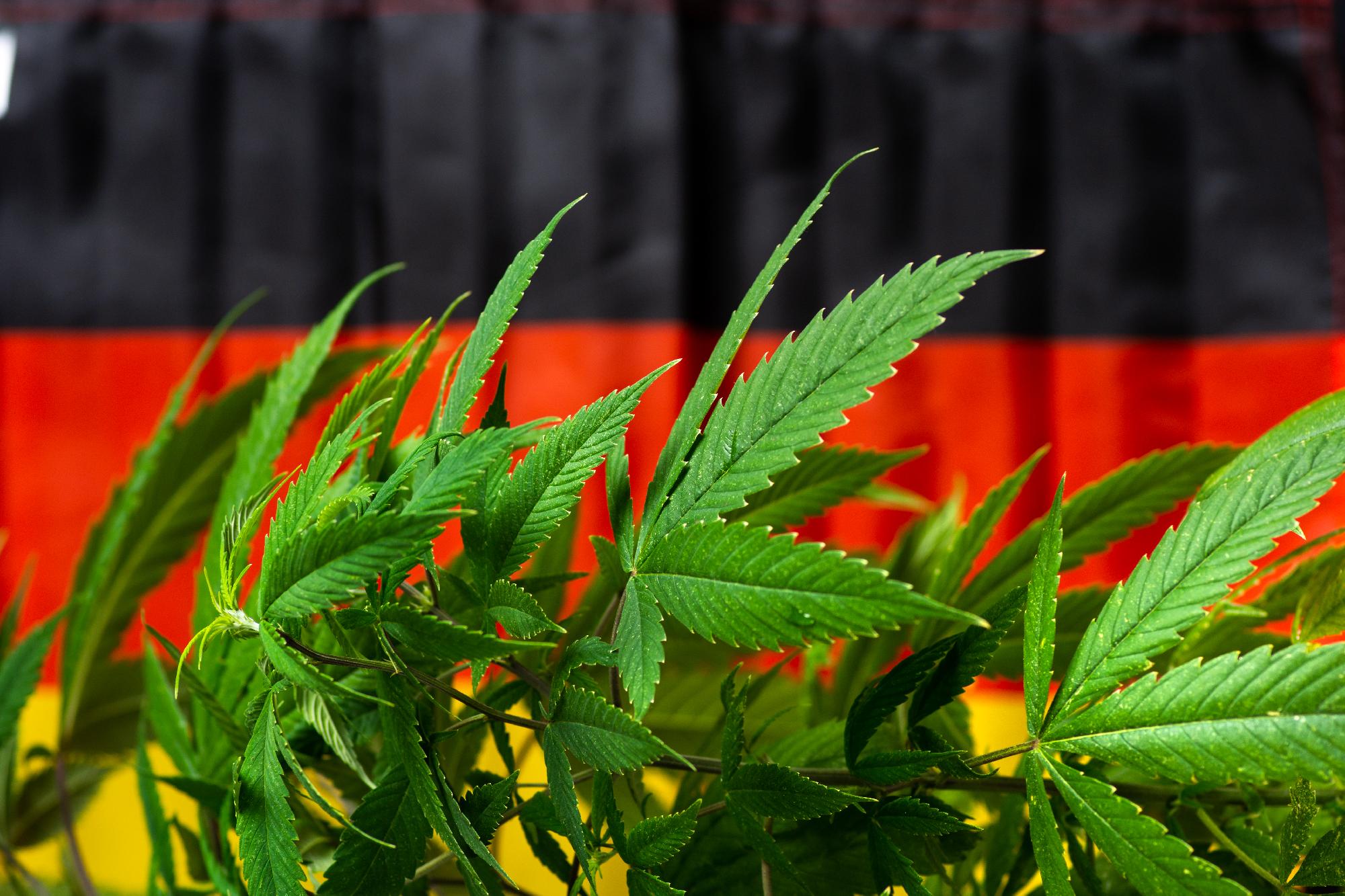 Németország az erkölcsi lejtőn – Legalizálják a kábítószert