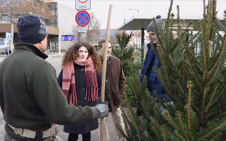 Sokan hagyták az utolsó pillanatra a fenyőfa vásárlást + videó