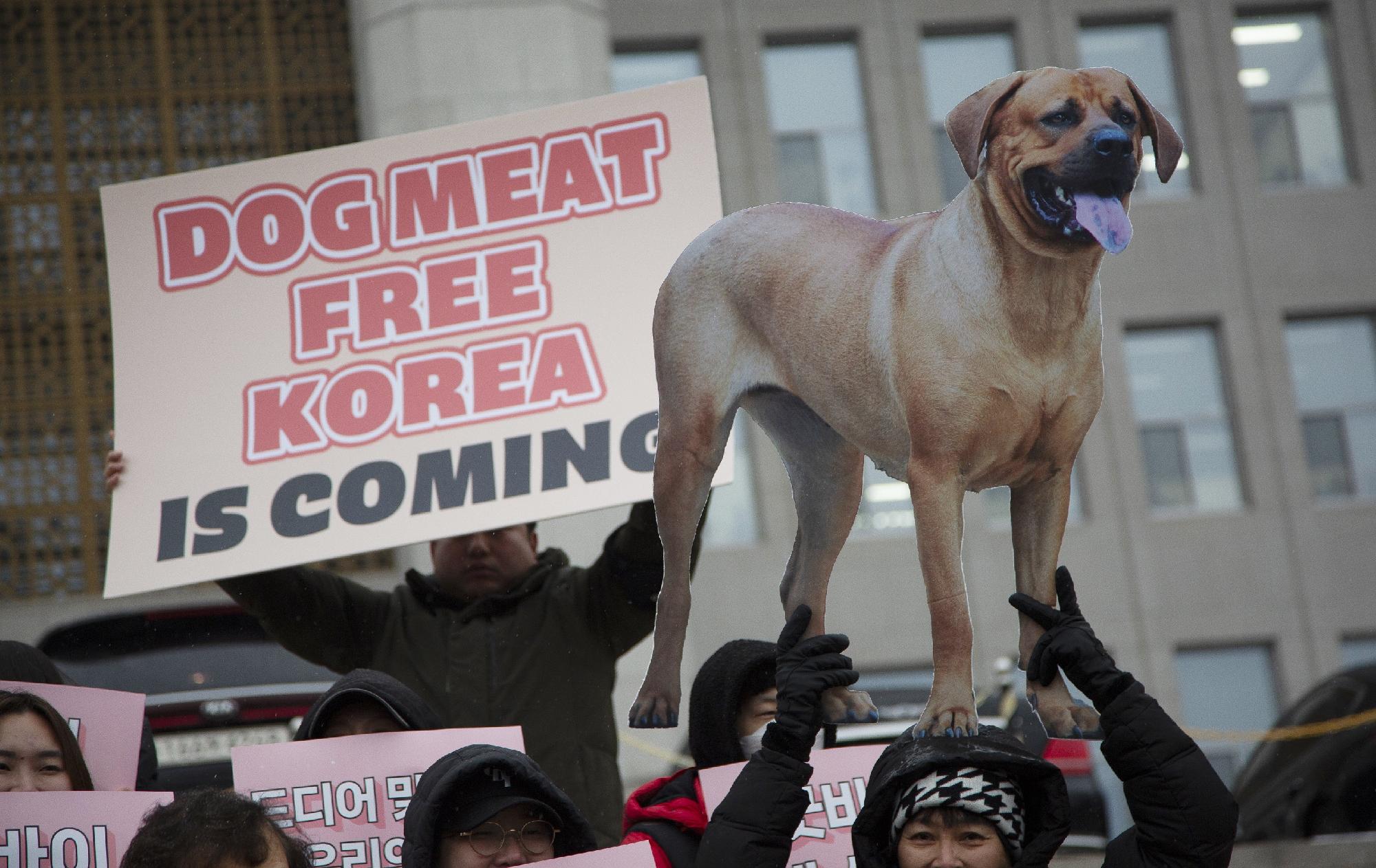 Betiltották Dél-Koreában a kutyaevést