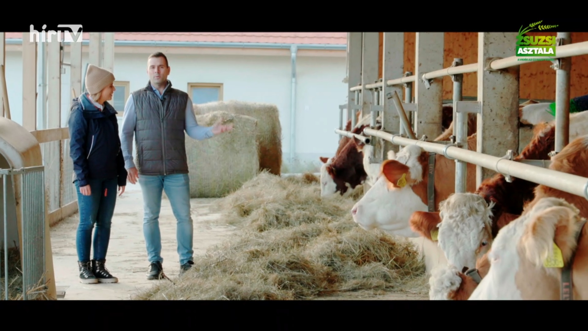 Zsuzsi asztala: Egy farm hétköznapjai + videó