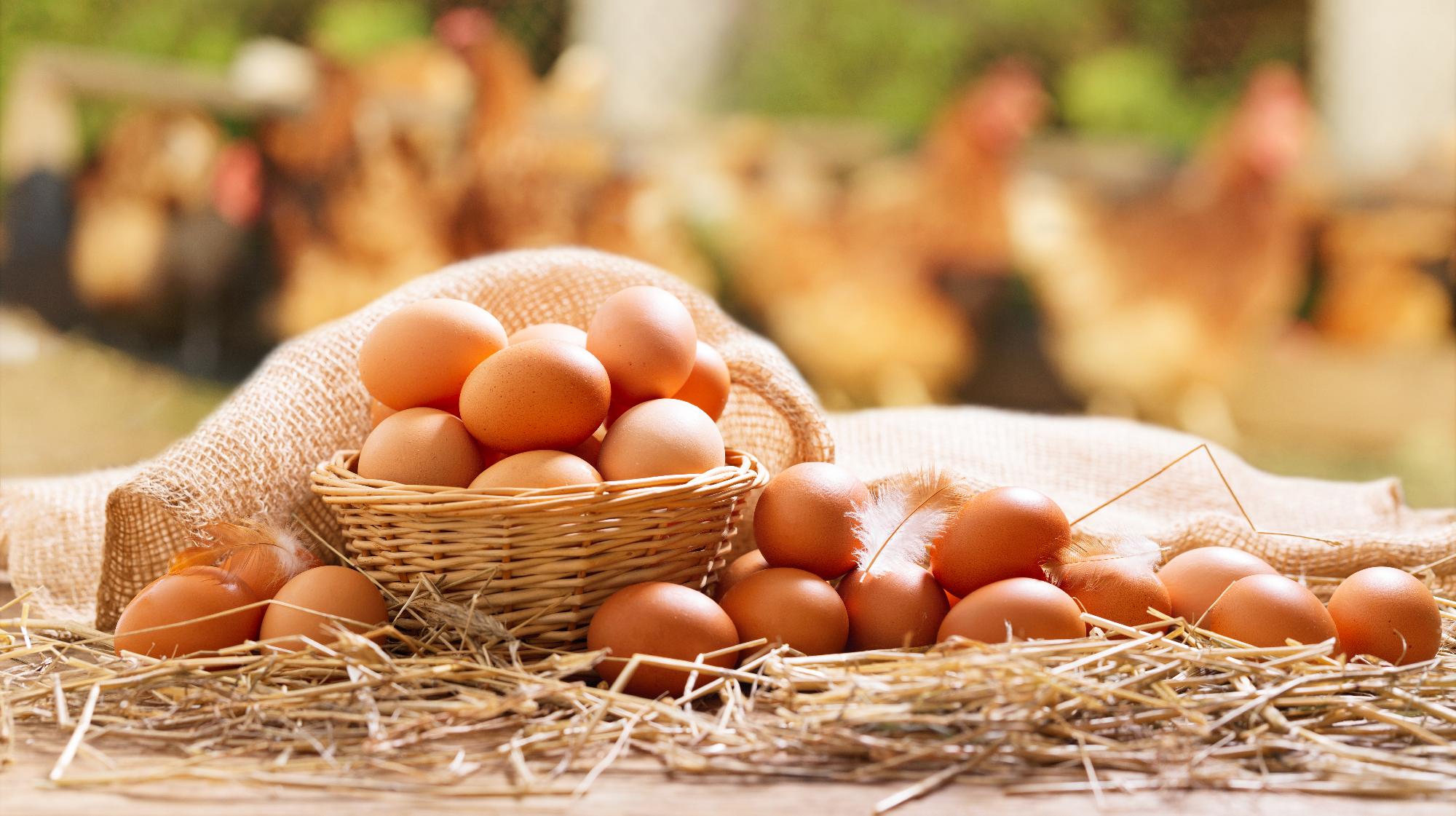 Harmadával olcsóbb lehet a húsvéti tojás tavalyhoz képest