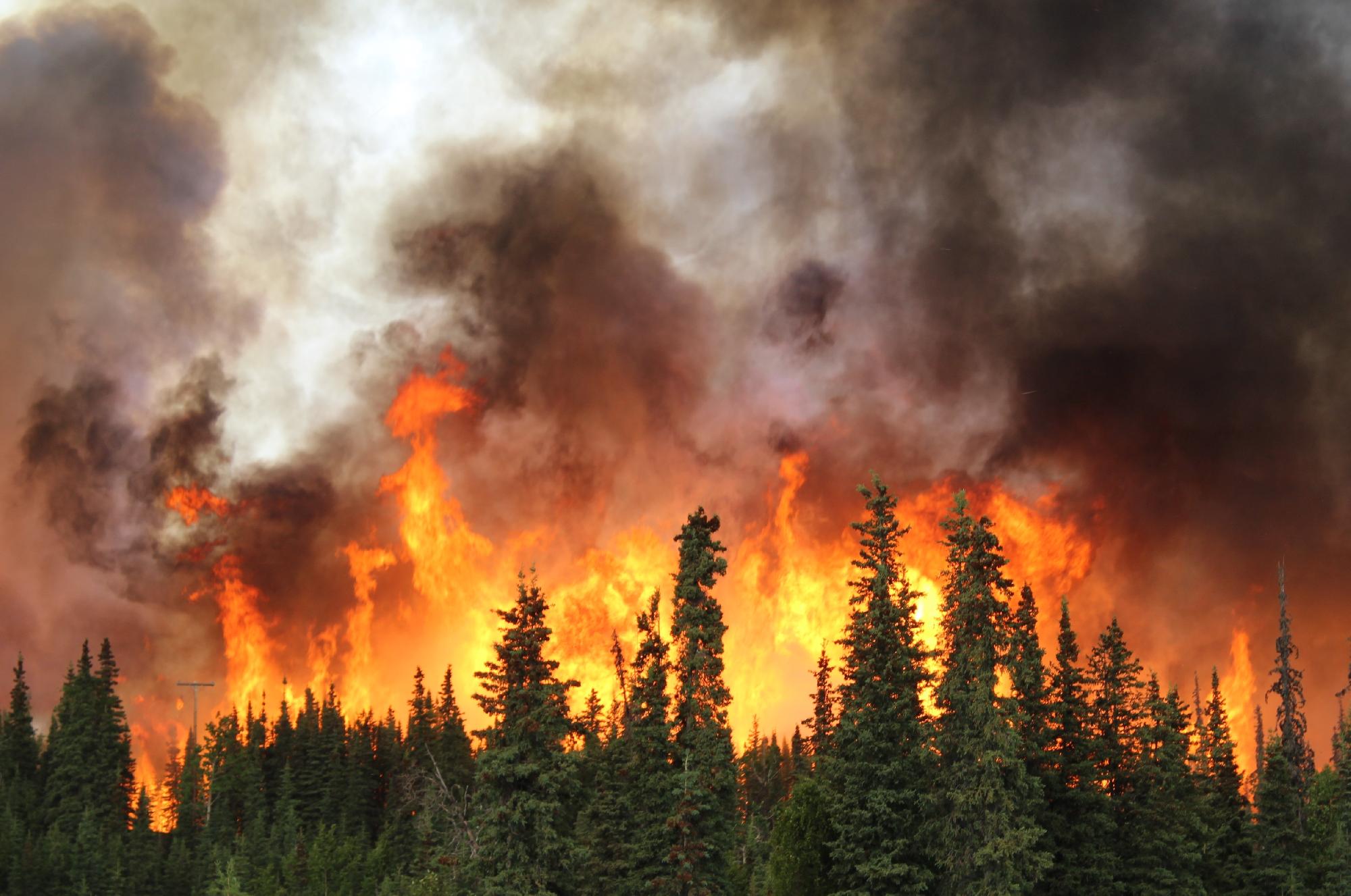 Villámgyorsan terjedő erdőtűz pusztít Kanadában