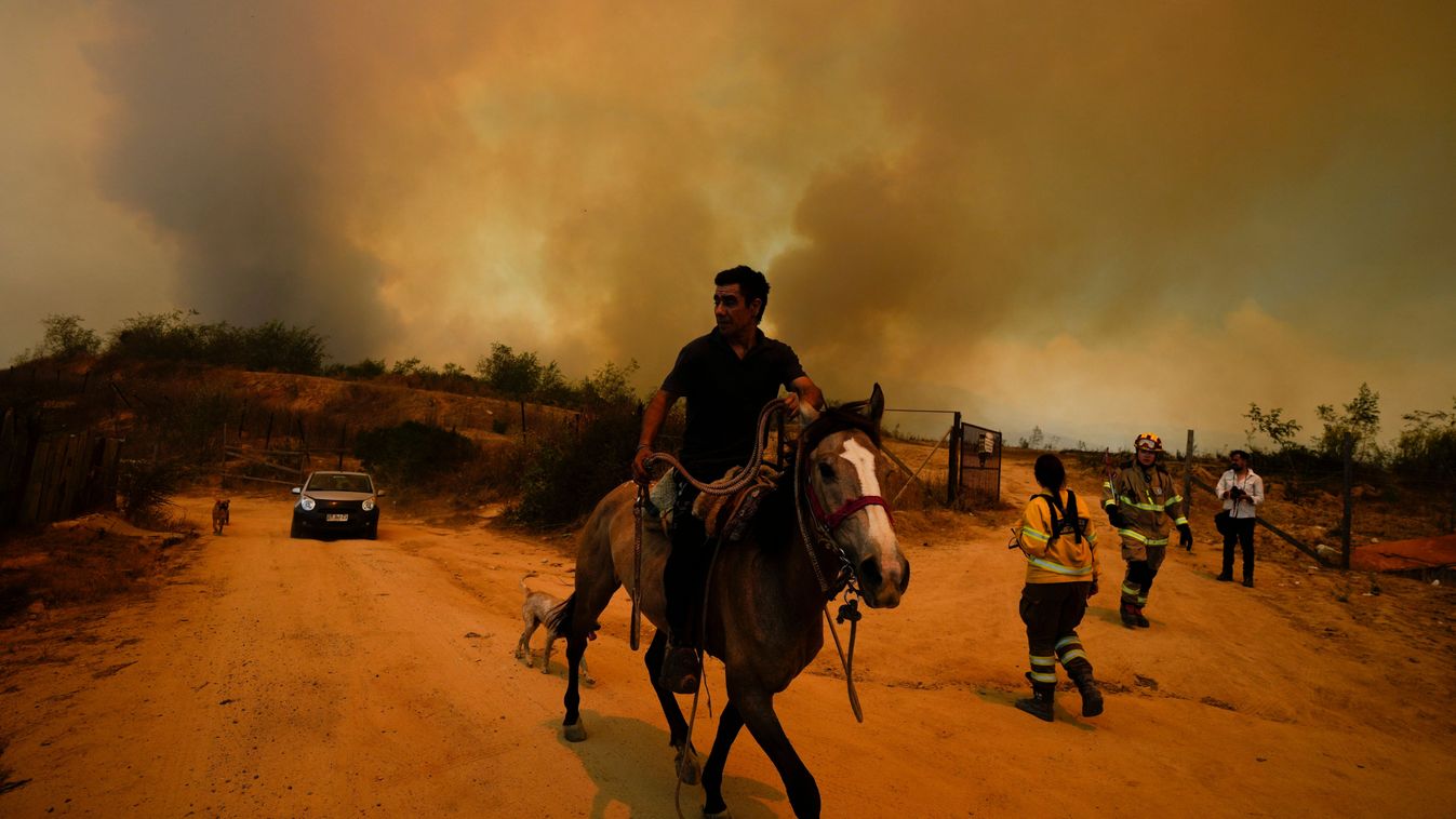 Chilében egy tűzoltó és egy erdészeti tisztségviselő okozhatta szándékosan a februári erdőtüzeket + videó