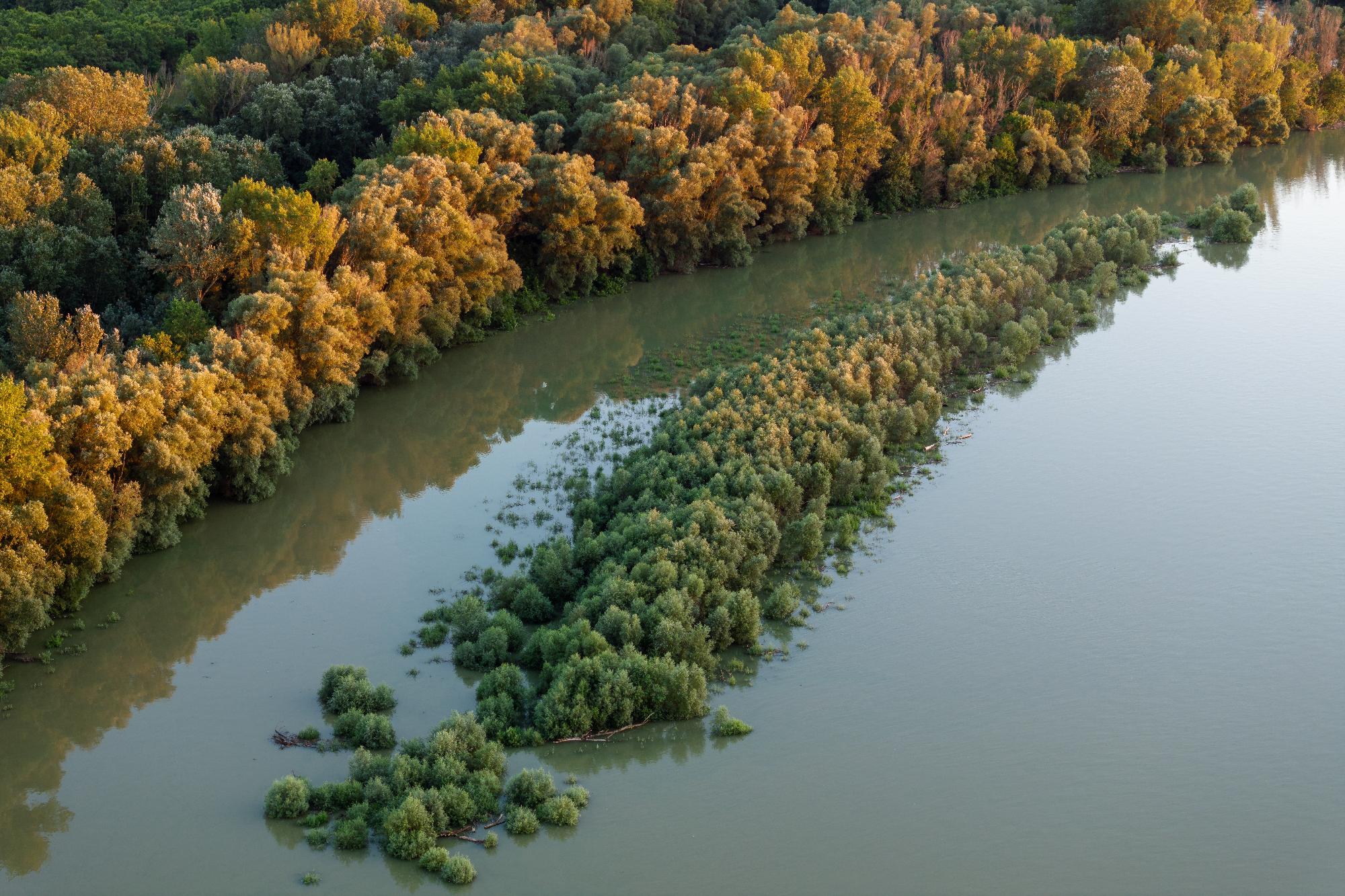 Érkezik a dunai árhullám és más magyarországi folyók is áradnak
