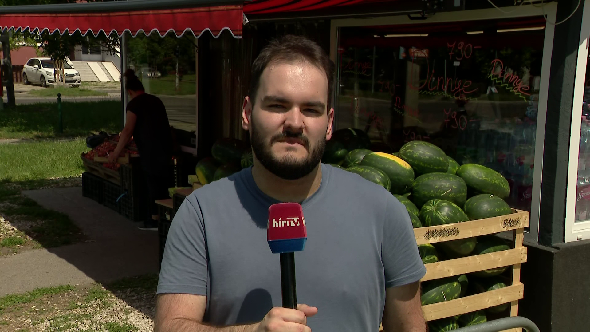 Egyre több helyen találkozhatnak a vásárlók magyar görögdinnyével a boltokban + videó