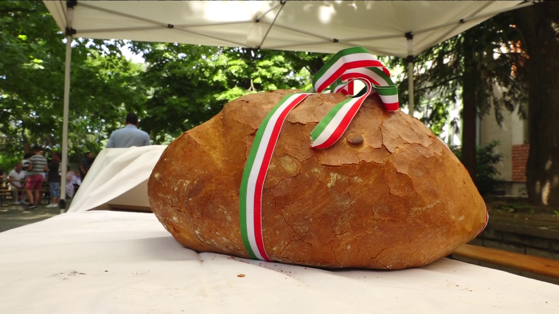 A gazdák évről évre többet adományoznak a magyarok kenyere programba + videó