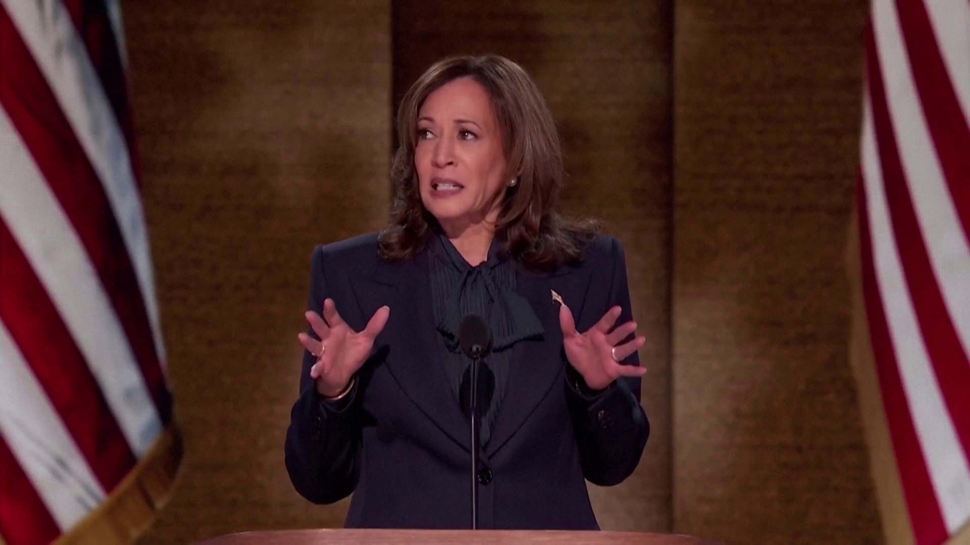 Formálisan is elfogadta a jelölését Kamala Harris a november 5-i elnökválasztásra + videó