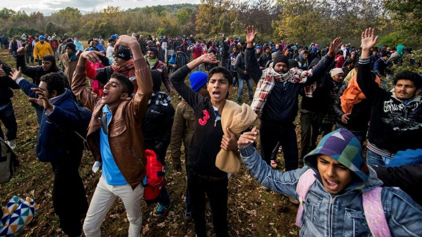 Mutatjuk, mik az esélyeink a migrációs paktumból való kilépésre, ha összefogunk a hollandokkal