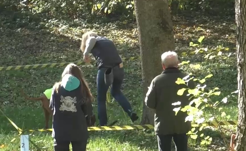 Huszonkét kutya és gazdája vett részt a 6. Szarvasgomba Fesztiválon + videó