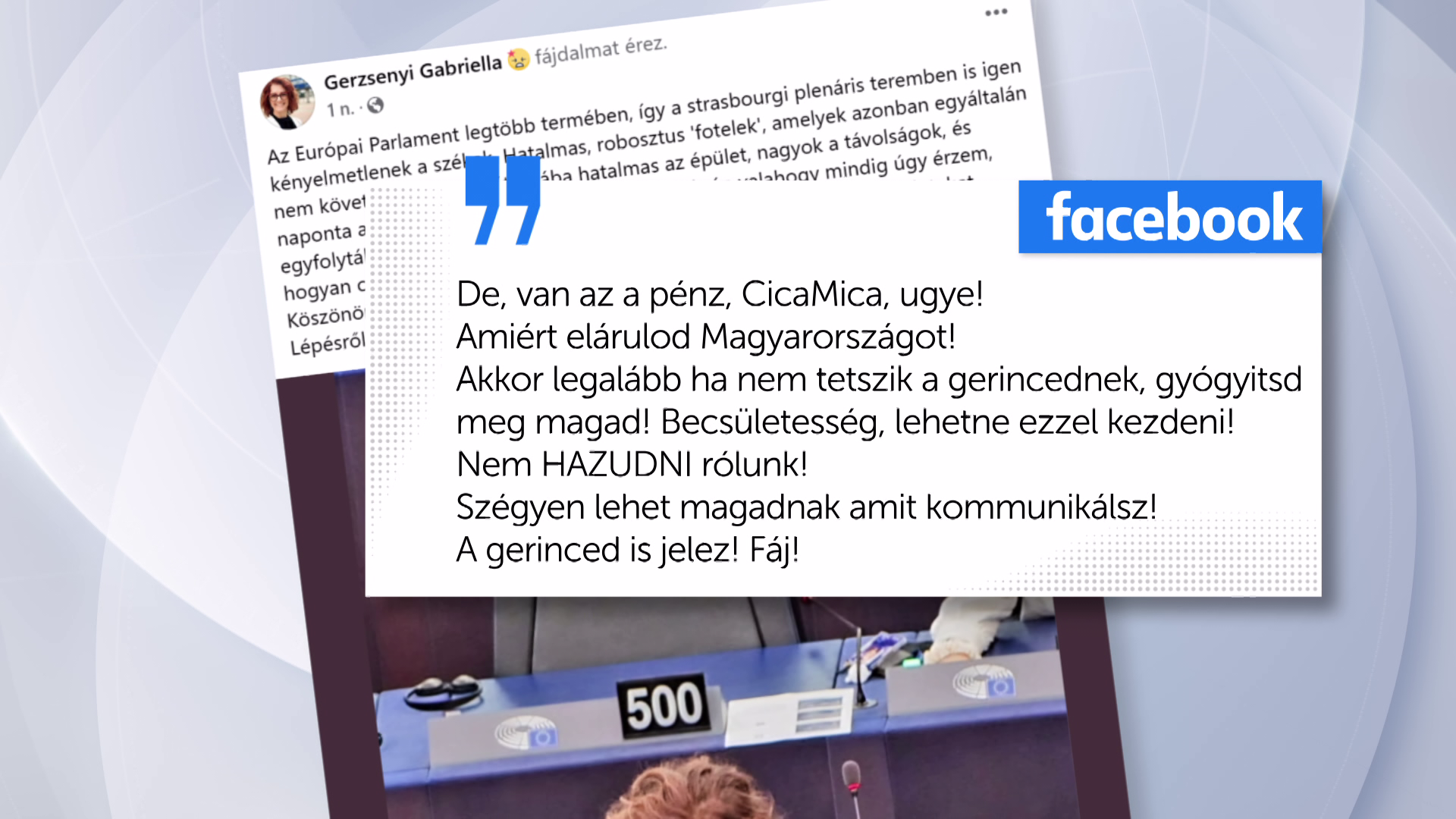 Magyar Péter emberei arra panaszkodtak, hogy hideg van az Európai Parlamentben + videó