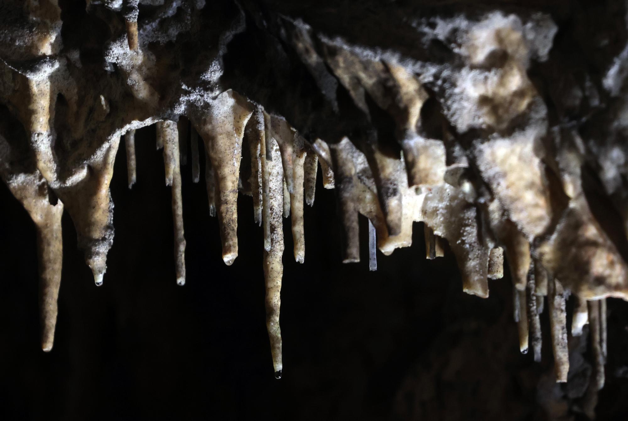 Agrárminisztérium: idén 40 éves az Aggteleki Nemzeti Park