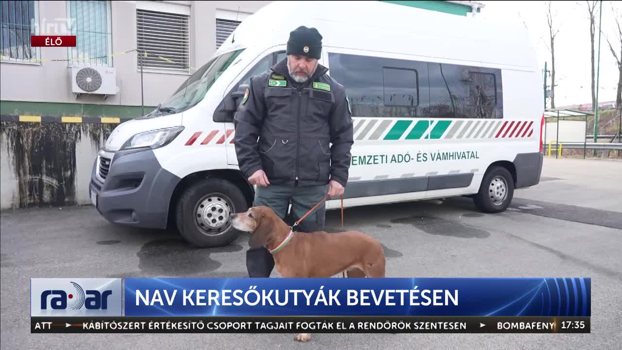 Radar - A kereső, felderítő munkához nélkülözhetetlenek a kutyák + videó