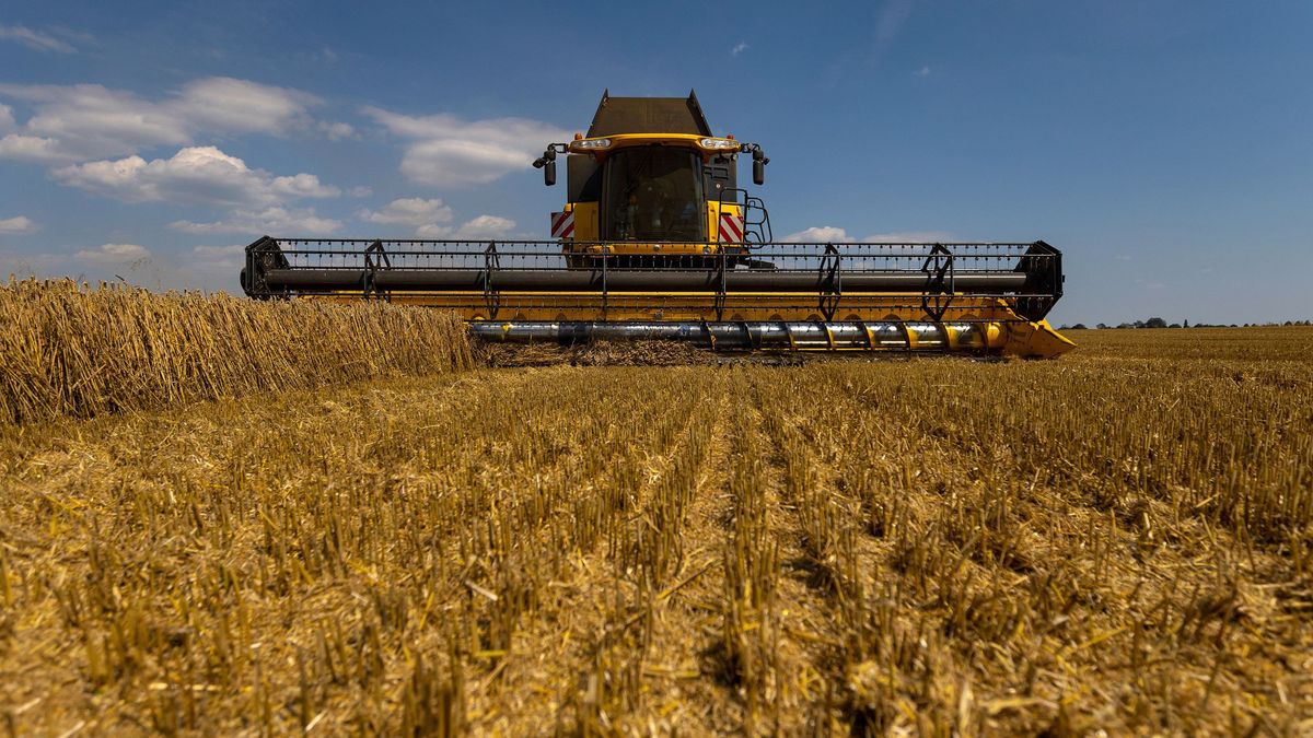 Tovább dörögnek a vámháború ágyúi, a következő lépés az agrártermékekre kivetendő vámok lehetnek