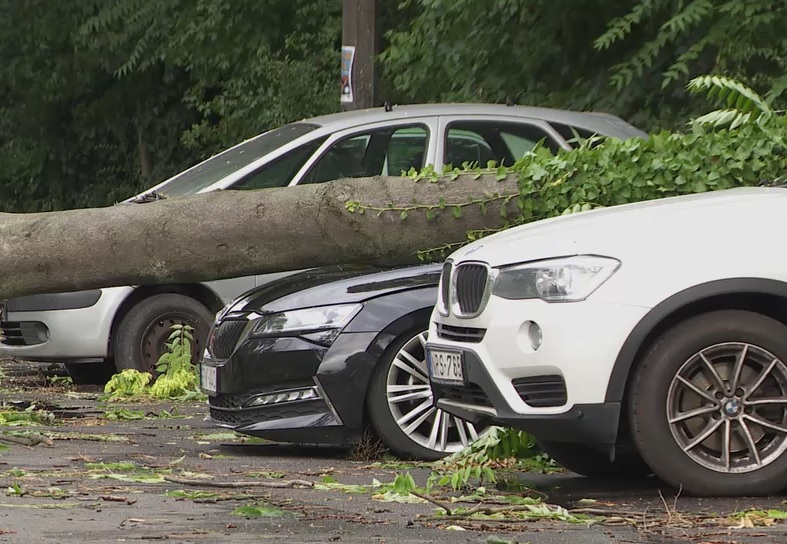 Radar – Letarolt házak, kidőlt fák – mit térít meg a biztosítás?  + videó
