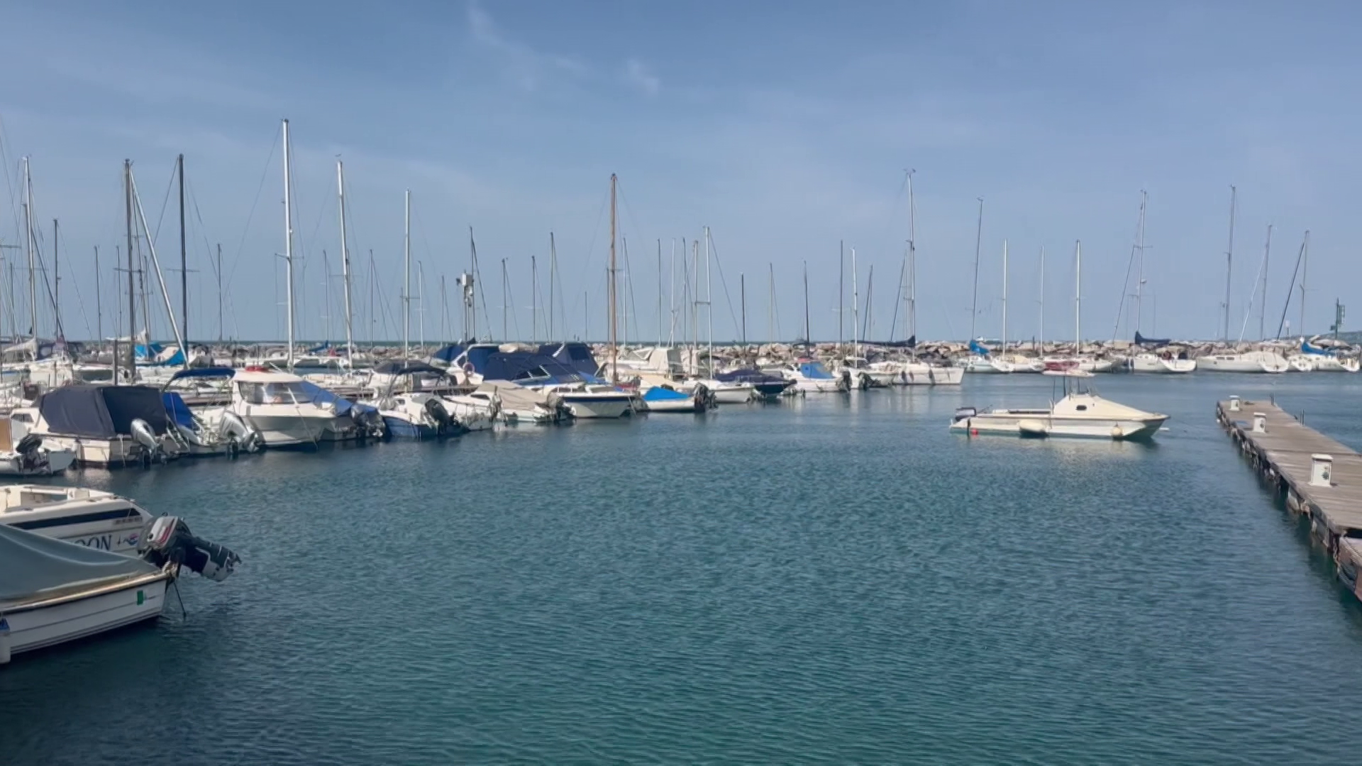 Megkezdte működését az Adria Port, Magyarország trieszti kikötője + videó Kép