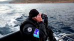 Frontex: bajos az új szabályozás